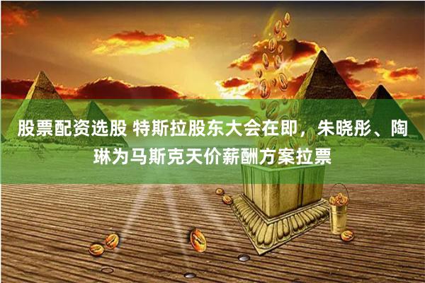 股票配资选股 特斯拉股东大会在即，朱晓彤、陶琳为马斯克天价薪酬方案拉票