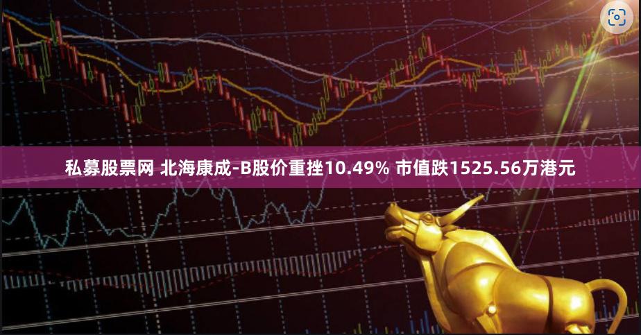 私募股票网 北海康成-B股价重挫10.49% 市值跌1525.56万港元