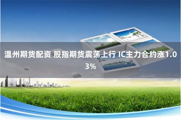 温州期货配资 股指期货震荡上行 IC主力合约涨1.03%